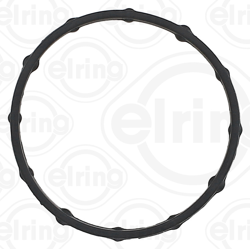 ELRING 048.350 Dichtring, Wasserpumpe