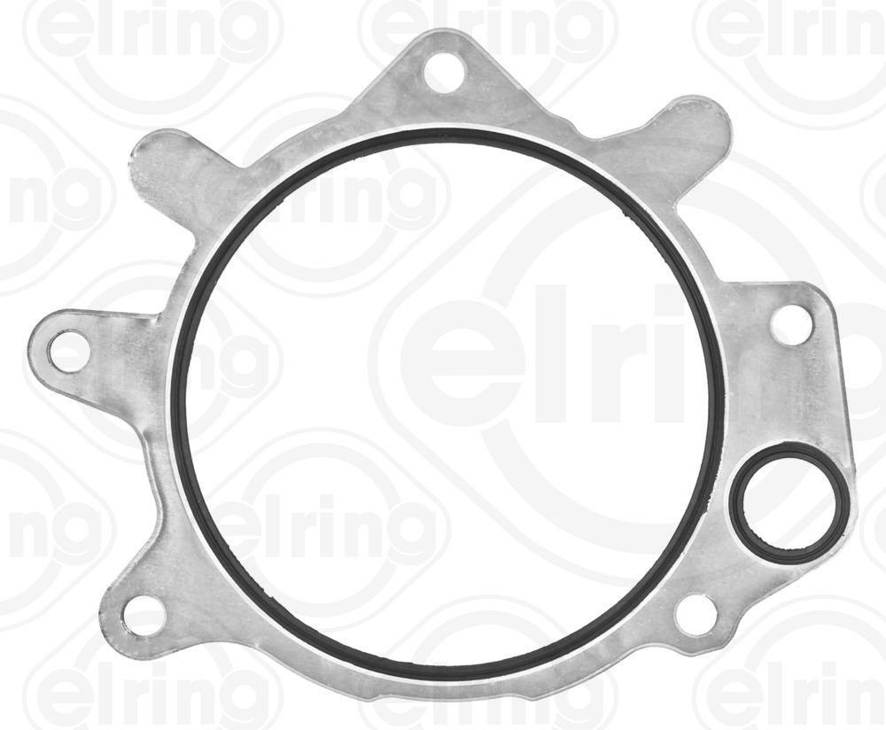 ELRING 084.670 Tesnenie vstrekovacieho čerpadla