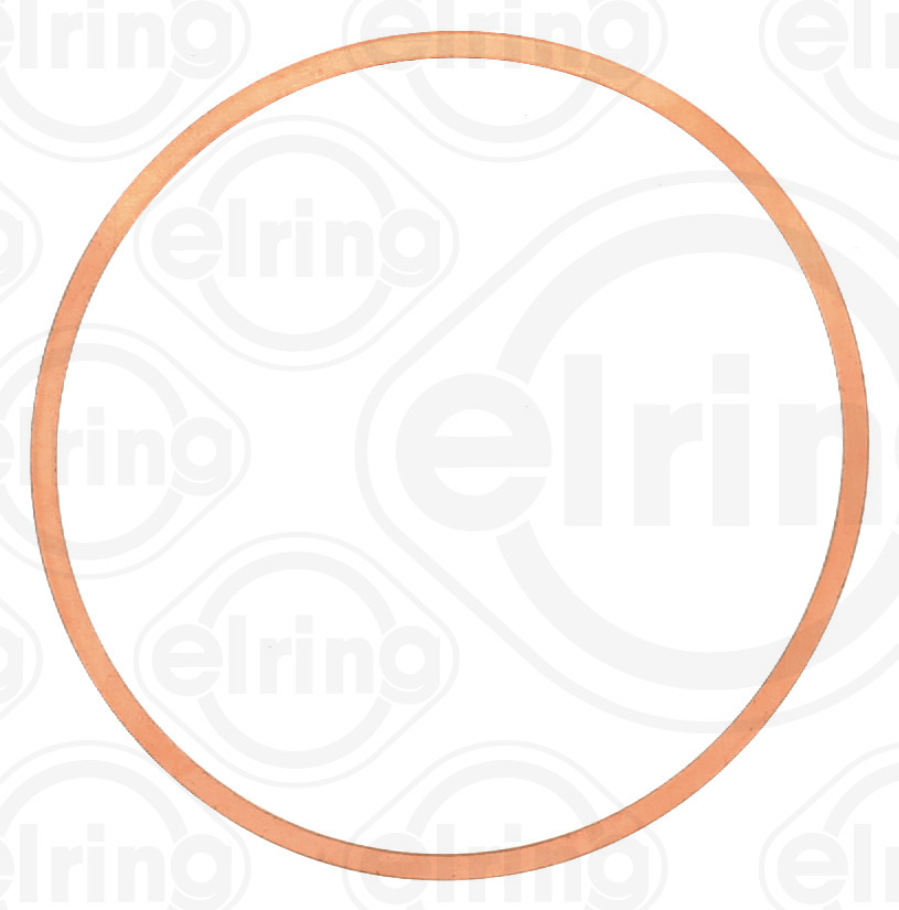 ELRING 151.025 Guarnizione,...