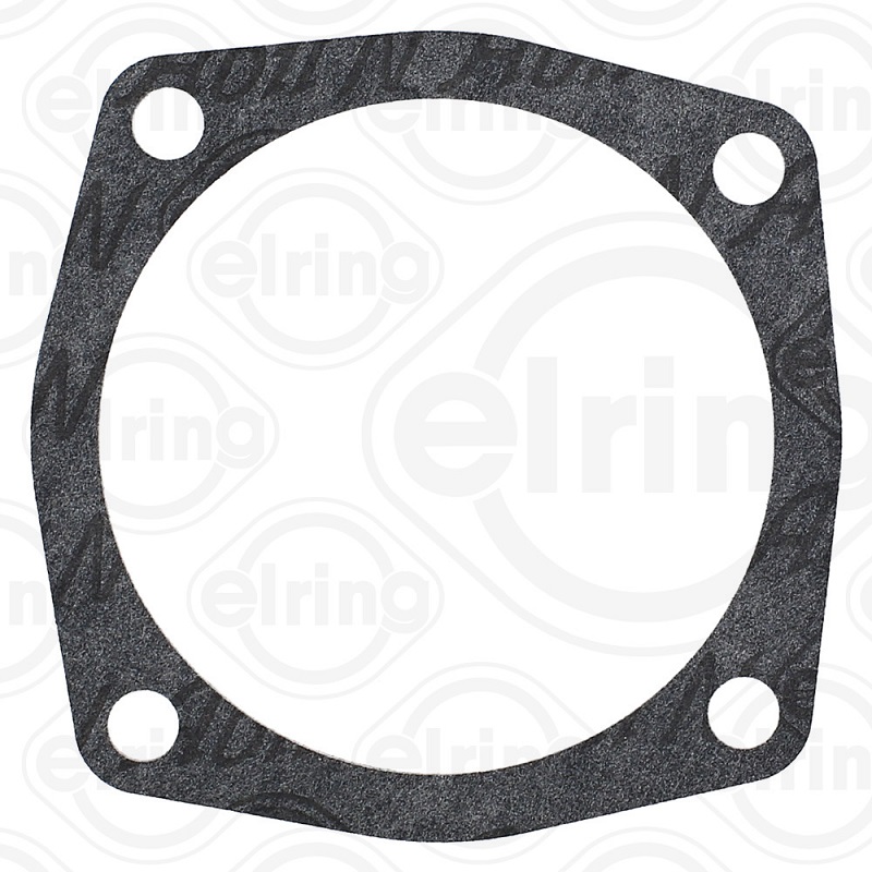 ELRING 189.812 Guarnizione,...