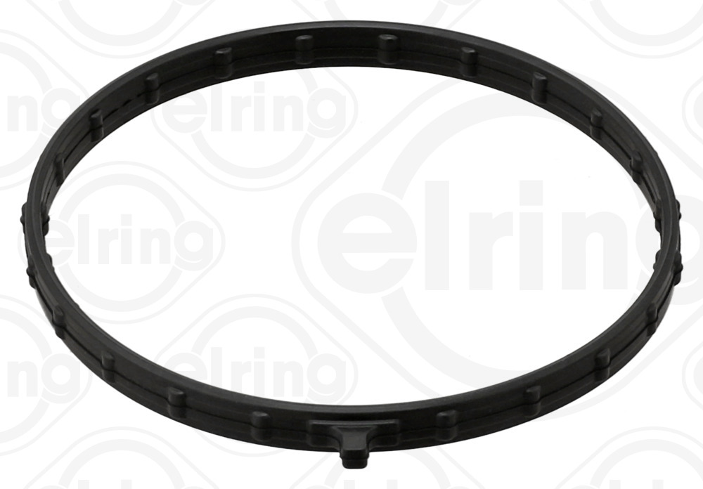 ELRING 206.560 Dichtung, Ansaugkrümmergehäuse