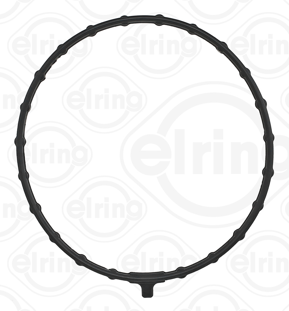 ELRING 206.560 Dichtung, Ansaugkrümmergehäuse
