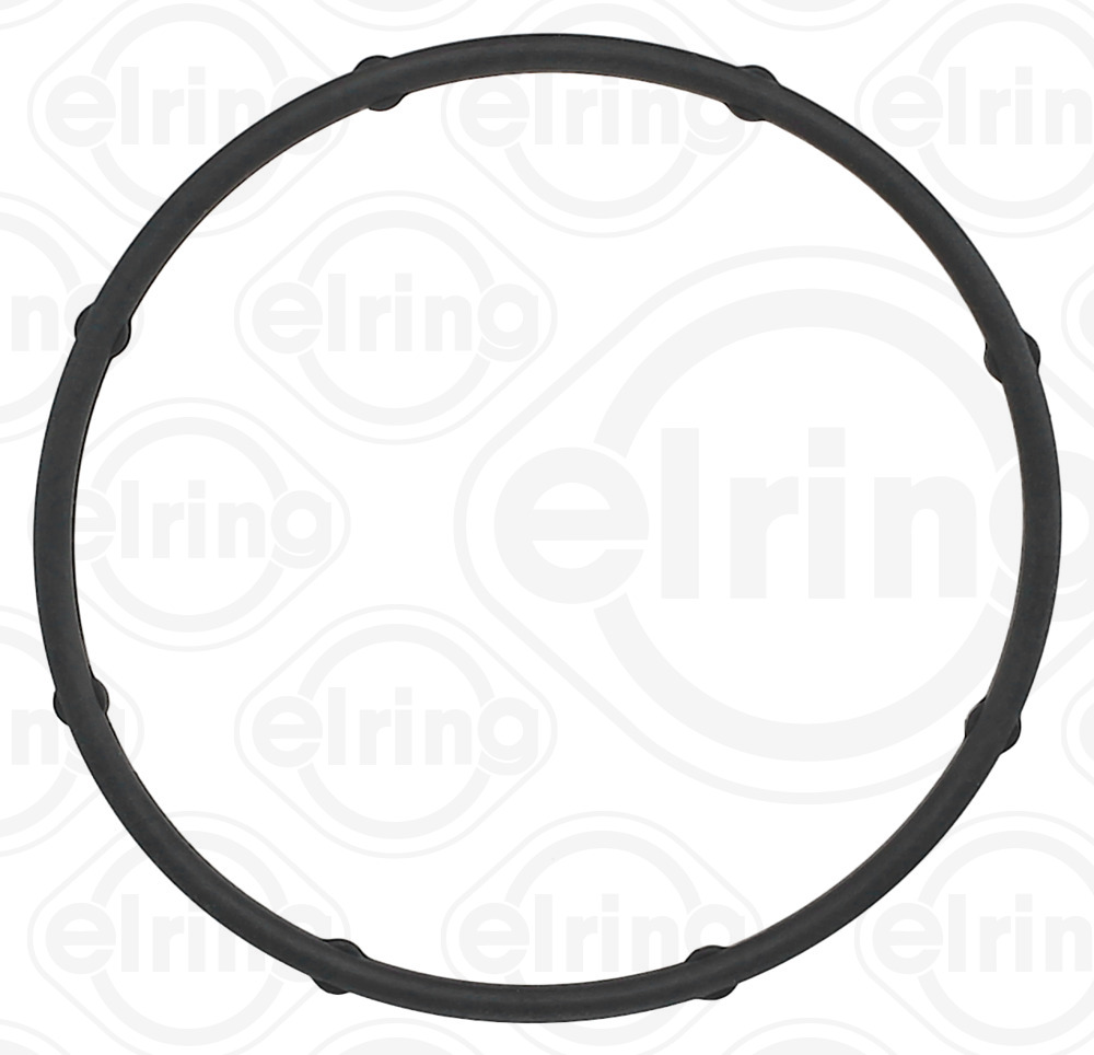 ELRING 387.280 Dichtring, Wasserpumpe