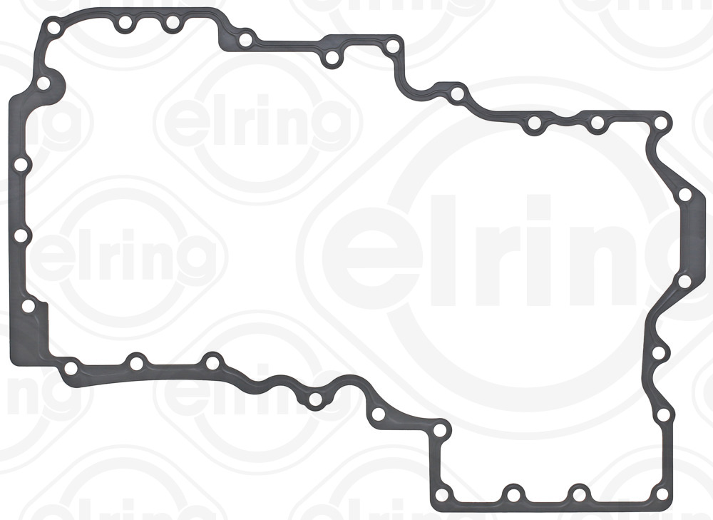 ELRING 389.343 Guarnizione,...