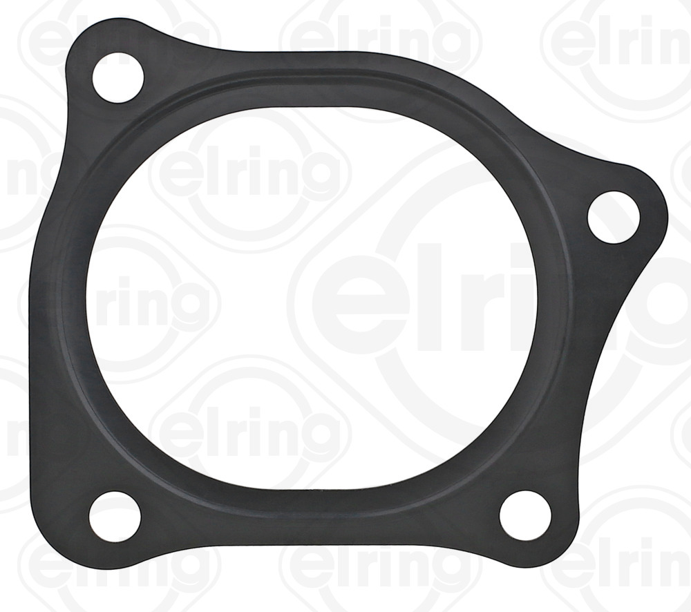 ELRING 460.580 Guarnizione,...