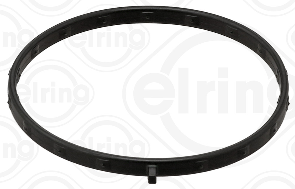 ELRING 884.410 Guarnizione,...