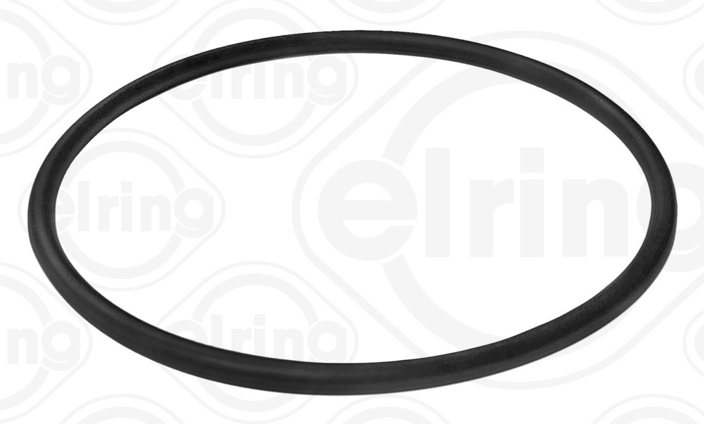 ELRING B15.250 Dichtring