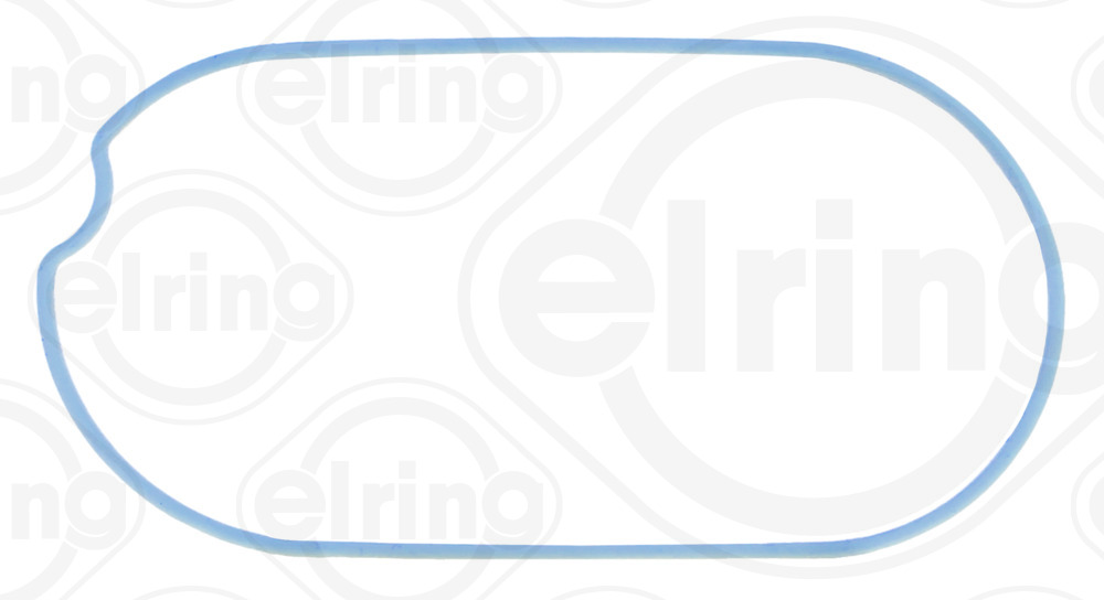ELRING B19.290 Dichtung, Ansaugkrümmergehäuse