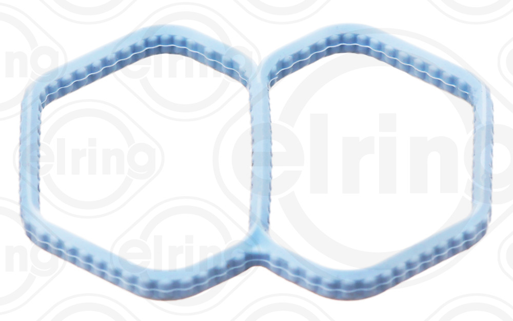 ELRING B19.550 Dichtung, Leerlaufregelventil-Luftversorgung