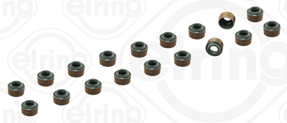 ELRING B47.250 Dichtungssatz, Ventilschaft