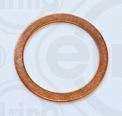ELRING 318.787 Dichtring