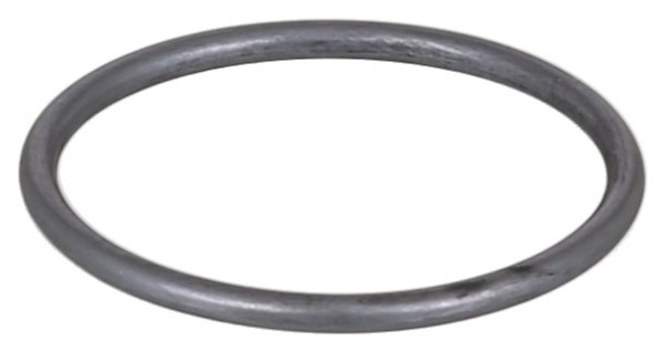 ELRING 339.480 Seal Ring