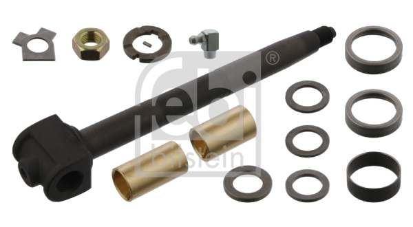 FEBI BILSTEIN 01124 Kit riparazione, Perno fuso a snodo