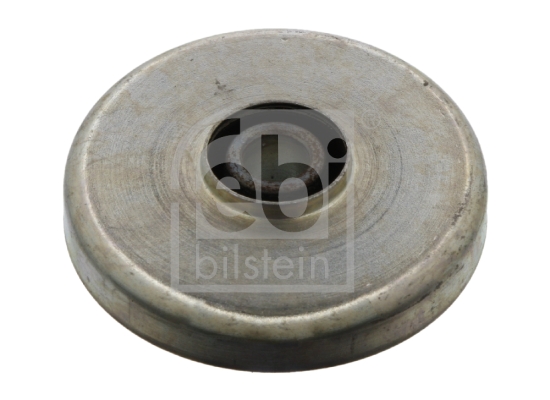 FEBI BILSTEIN 06667 Supporto, Differenziale