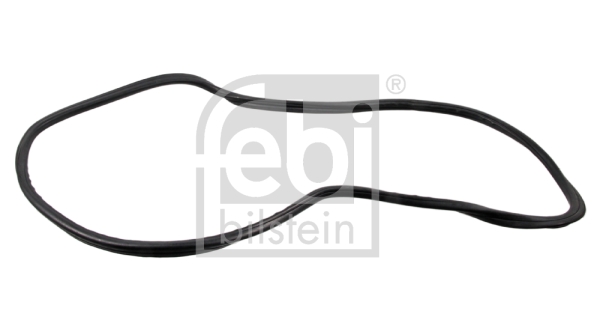 FEBI BILSTEIN 08889 Guarnizione, Lunotto post.