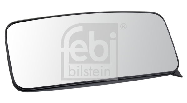 FEBI BILSTEIN 100028 Specchio esterno, Cabina