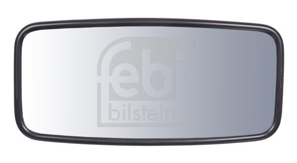 FEBI BILSTEIN 100120 Specchio esterno, Cabina-Specchio esterno, Cabina-Ricambi Euro