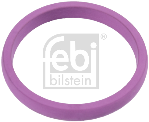 FEBI BILSTEIN 100251 Guarnizione, Pompa olio-Guarnizione, Pompa olio-Ricambi Euro