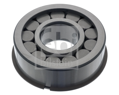 FEBI BILSTEIN 100673 Lager, Differential