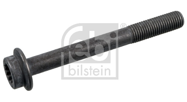 FEBI BILSTEIN 101125 Bullone/Vite