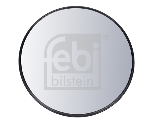 FEBI BILSTEIN 101382 Vetro specchio, Specchio retrovisore-Vetro specchio, Specchio retrovisore-Ricambi Euro