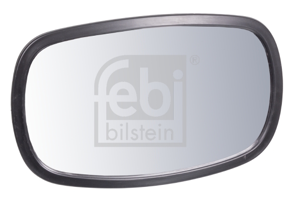 FEBI BILSTEIN 101391 Specchio rampa-Specchio rampa-Ricambi Euro