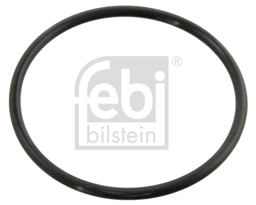 FEBI BILSTEIN 10258 Guarnizione, Termostato