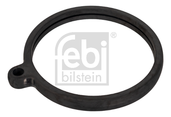 FEBI BILSTEIN 10259 Guarnizione, Termostato-Guarnizione, Termostato-Ricambi Euro