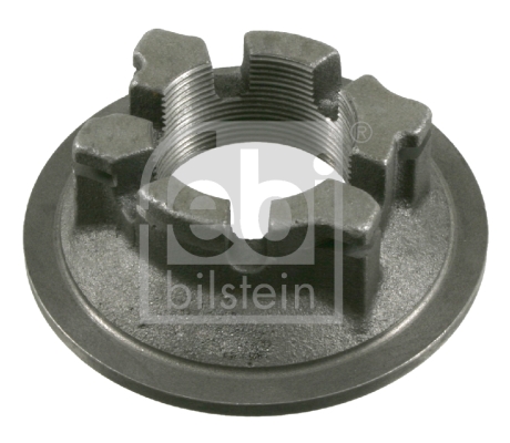 FEBI BILSTEIN 10461 Dado, Fuso dell'asse-Dado, Fuso dell'asse-Ricambi Euro