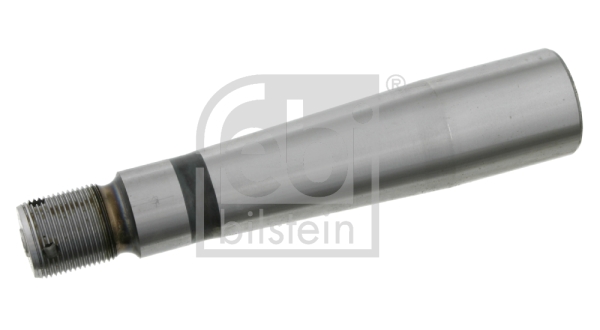 FEBI BILSTEIN 10494 Achsschenkelbolzen