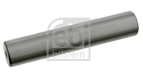 FEBI BILSTEIN 14578 Achsschenkelbolzen