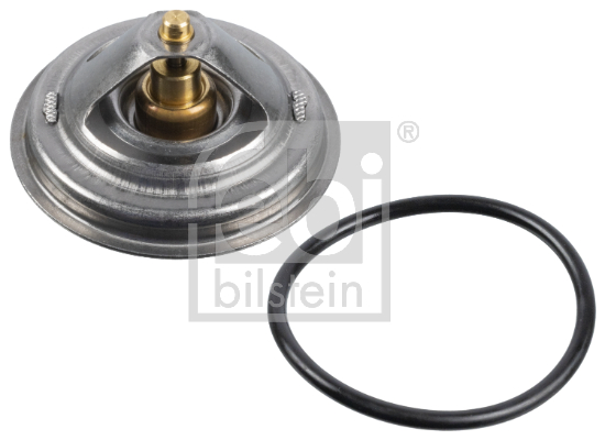 FEBI BILSTEIN 171594 Termostato, Refrigerante