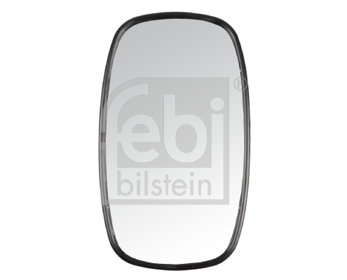 FEBI BILSTEIN 172936 Außenspiegel, Fahrerhaus