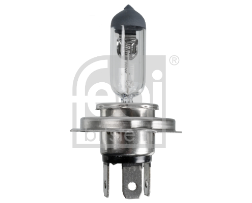 FEBI BILSTEIN 173281 Glühlampe, Hauptscheinwerfer