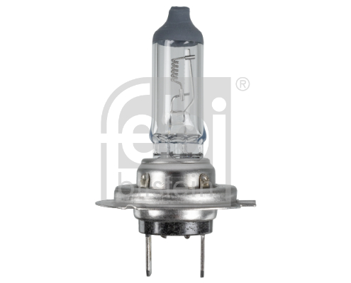 FEBI BILSTEIN 173282 Glühlampe, Hauptscheinwerfer