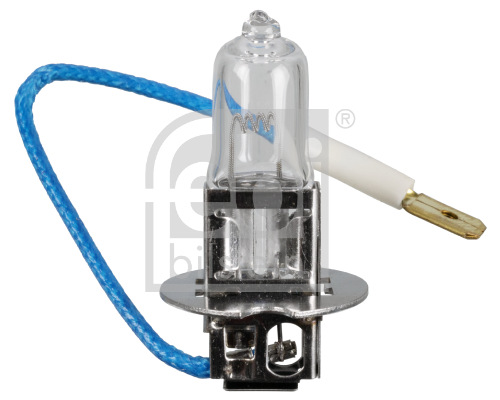FEBI BILSTEIN 173284 Glühlampe, Nebelscheinwerfer