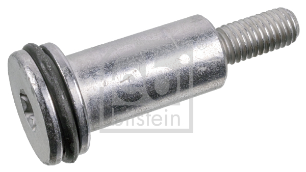 FEBI BILSTEIN 173488 Gleitschienenbolzen, Steuerkette