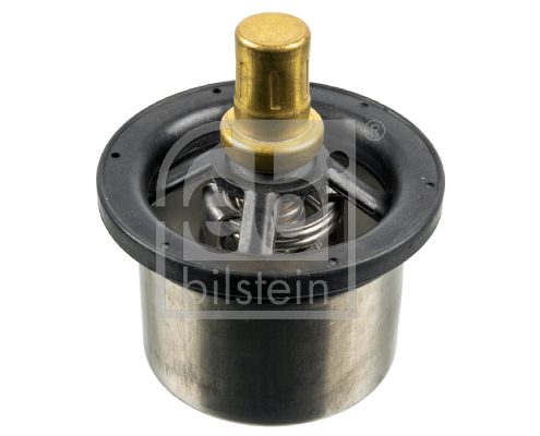 FEBI BILSTEIN 173716 Termostato, Refrigerante