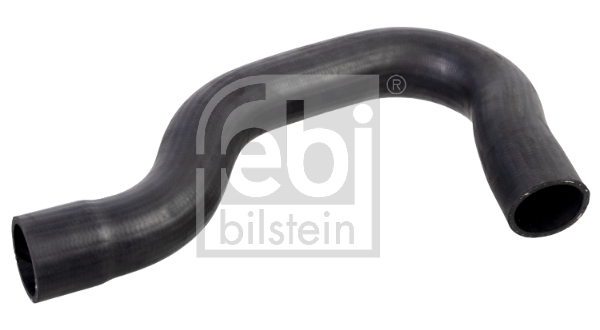 FEBI BILSTEIN 174519 Flessibile radiatore-Flessibile radiatore-Ricambi Euro