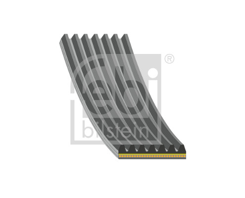 FEBI BILSTEIN 184931 Keilrippenriemen