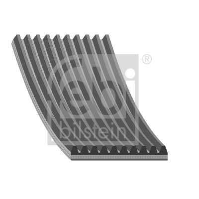 FEBI BILSTEIN 185012 Keilrippenriemen