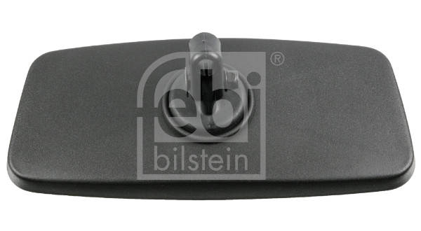 FEBI BILSTEIN 185875 Außenspiegel, Fahrerhaus