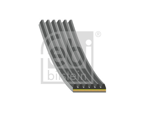 FEBI BILSTEIN 185912 Keilrippenriemen