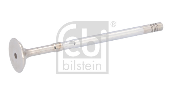 FEBI BILSTEIN 186246 Einlassventil