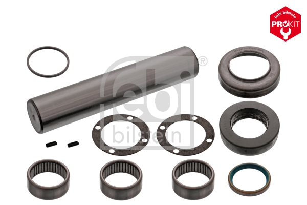 FEBI BILSTEIN 19174 Kit riparazione, Perno fuso a snodo