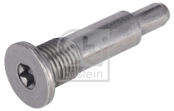 FEBI BILSTEIN 195056 Gleitschienenbolzen, Steuerkette