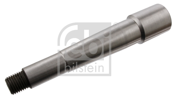 FEBI BILSTEIN 29711 Achsschenkelbolzen