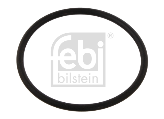 FEBI BILSTEIN 30568 Guarnizione, Pompa acqua