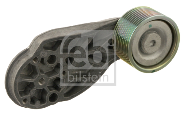 FEBI BILSTEIN 30646 Galoppino/Guidacinghia, Cinghia Poly-V