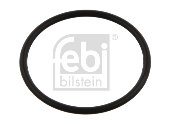 FEBI BILSTEIN 34874 Dichtung, Thermostat